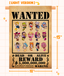 Wanted Poster Pin Banner